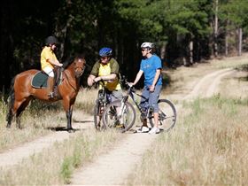 Kidman Trail - Accommodation Resorts 1
