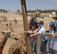 Monarto Open Range Zoo - Accommodation Resorts
