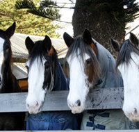 Victor Harbor Horse Drawn Tramway - Accommodation Resorts
