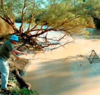 Charleville - Ward River Fishing Spot - Accommodation Resorts
