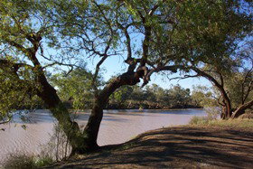Charleville - Bakers Bend Warrego River Fishing Spot - Accommodation Resorts 1