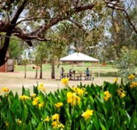 Charleville - Graham Andrews Parklands - Accommodation Resorts