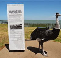 Birdman of the Coorong - Accommodation Resorts