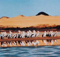Coorong National Park - Accommodation Resorts