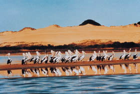 Coorong National Park - Accommodation Resorts 0