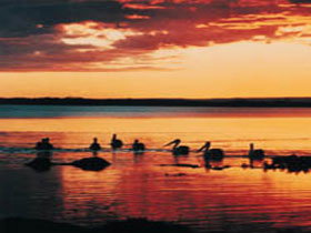 Coorong National Park - Accommodation Resorts 1