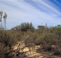 Wyperfeld National Park - Accommodation Resorts