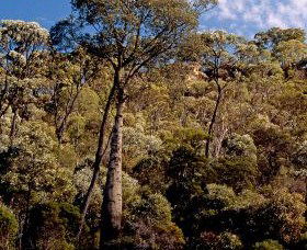 Ka Ka Mundi, Carnarvon National Park - Accommodation Resorts 0