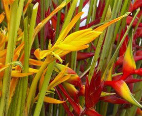 Parap Markets - Accommodation Resorts 1