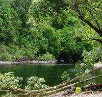 Broadwater Abergowrie State Forest - Accommodation Resorts