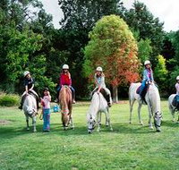 Limestone Coast Horseriding - Accommodation Resorts