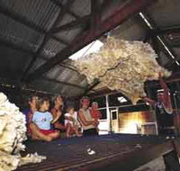 Shear Outback the Australian Shearers Hall of Fame - Accommodation Resorts
