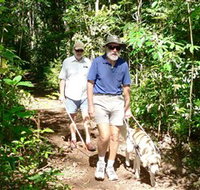 Wongabel State Forest - Accommodation Resorts