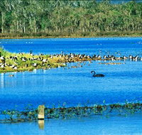 Hasties Swamp National Park - Accommodation Resorts