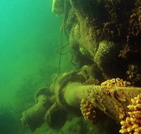 Wreck Diving at Magnetic Island - Accommodation Resorts