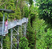 Mamu Tropical Skywalk - Accommodation Resorts