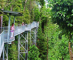 Mamu Tropical Skywalk - Accommodation Resorts 0