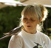 Simply Tomatoes - Accommodation Resorts