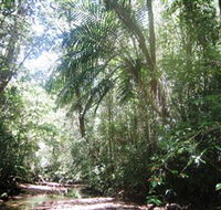 Mount Lewis National Park - Accommodation Resorts