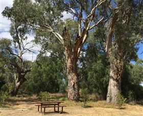 Bob Christensen Reserve - Accommodation Resorts 2