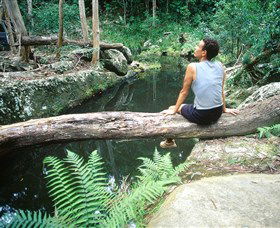 Barron Gorge National Park - Accommodation Resorts 1