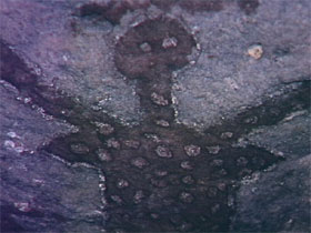  Accommodation Resorts