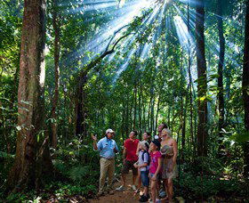 Mossman Gorge Centre - Accommodation Resorts 3