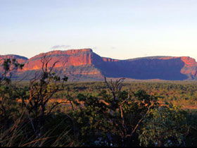 Dingo QLD Accommodation Resorts