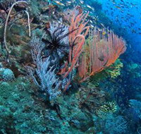 SS Yongala Dive Site - Accommodation Resorts