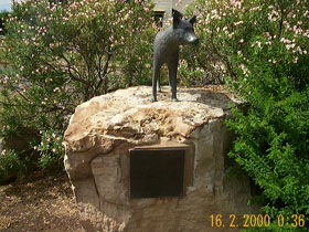 Dingo Statue - Accommodation Resorts 0