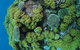 Keeper Reef Dive Site - thumb 0