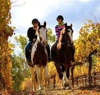 Billabong Ranch - Accommodation Resorts