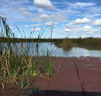 Gwydir Wetlands