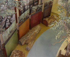 Barmah Forest Heritage And Education Centre - Accommodation Resorts 4