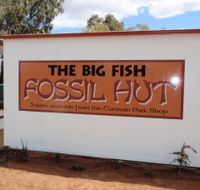 Big Fish Fossil Hut at Peak Hill - Accommodation Resorts