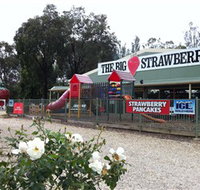 The Big Strawberry - Accommodation Resorts
