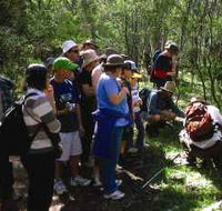 Warrumbungle National Park Discovery Program - Accommodation Resorts