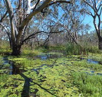 Macquarie Valley Trails - Accommodation Resorts