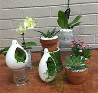 Cobram Florist - Accommodation Resorts