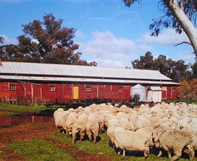 Savernake Day Tours - Accommodation Resorts 1