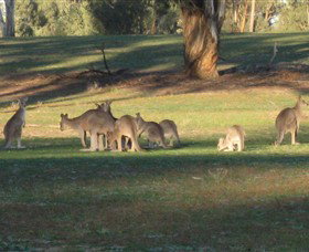Savernake Day Tours - Accommodation Resorts 4