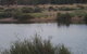 Savernake Day Tours - thumb 7
