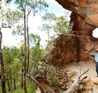 Pilliga National Park - Accommodation Resorts