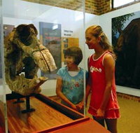 Australian Museum Diprotodon Exhibition - Accommodation Resorts