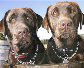 Ellender Estate - Accommodation Resorts 7