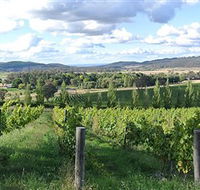 Sassy Wines - Accommodation Resorts