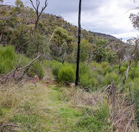 Lynchs loop trail - Accommodation Resorts