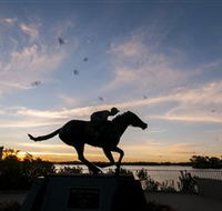 Black Caviar Statue - Accommodation Resorts