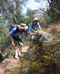 Mount Arthur Reserve - Accommodation Resorts 0