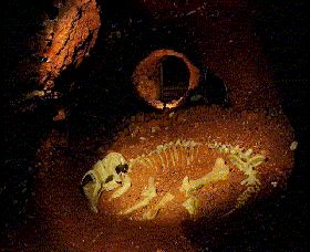 Wellington Caves And Phosphate Mine - Accommodation Resorts 2